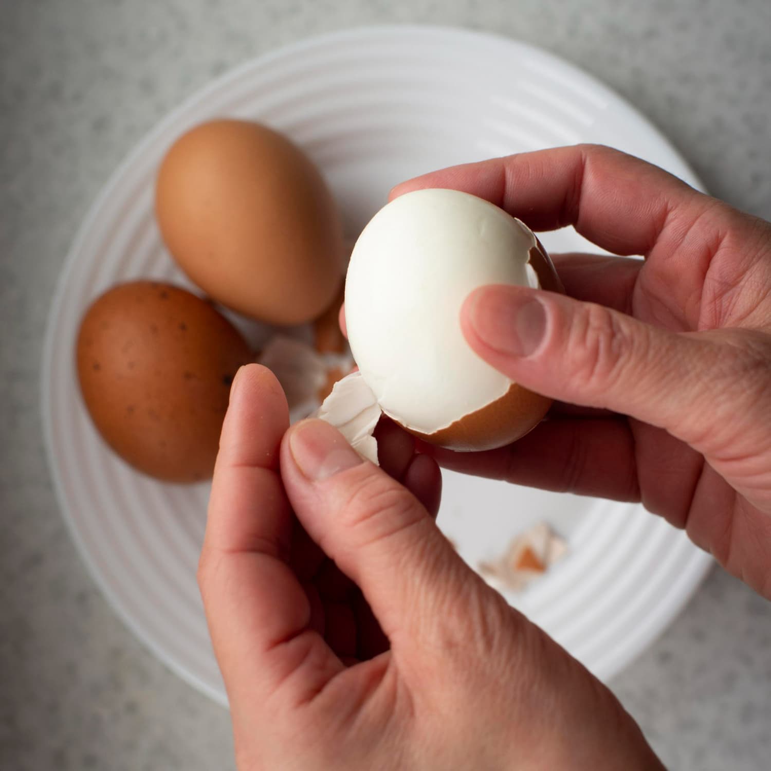 Manfaat Putih Telur sebagai Sumber Protein Rendah Lemak dan Kaitannya dengan Albumin Darah
