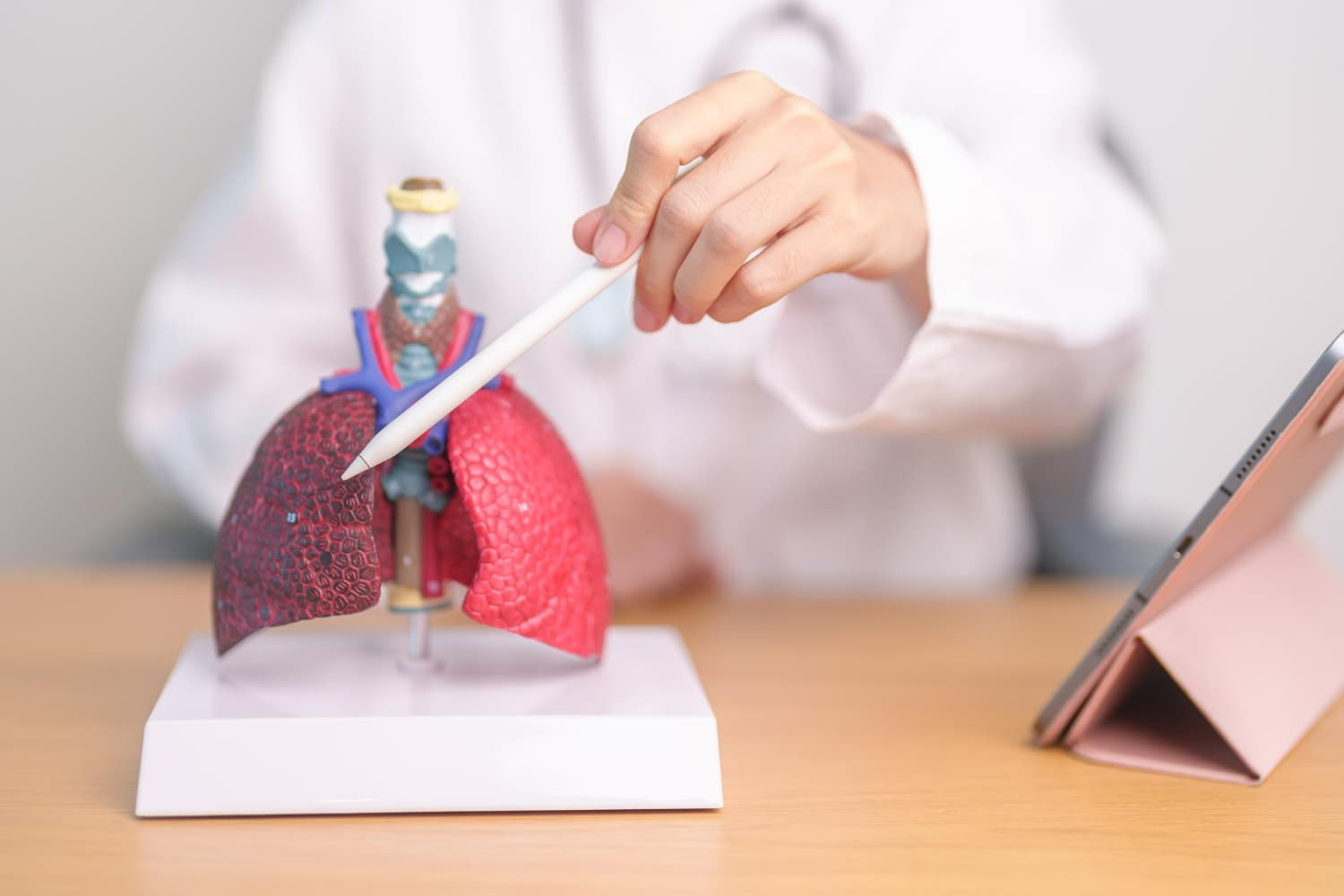 Fibrosis Kistik: Gejala, Penyebab, dan Pemeriksaan