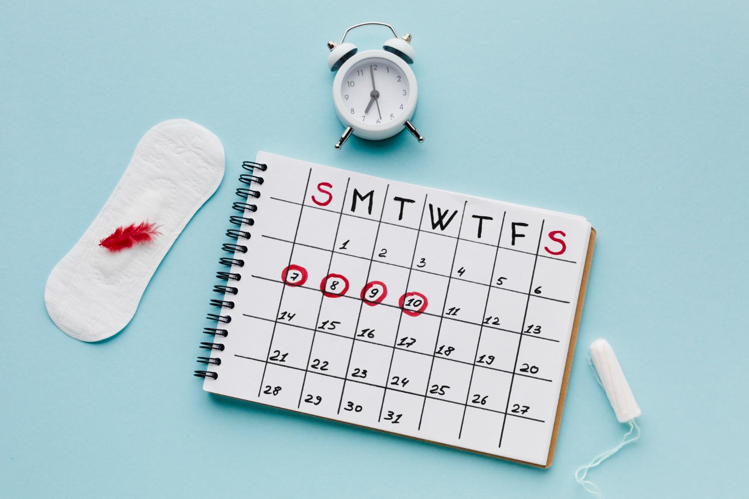 Siklus menstruasi normal