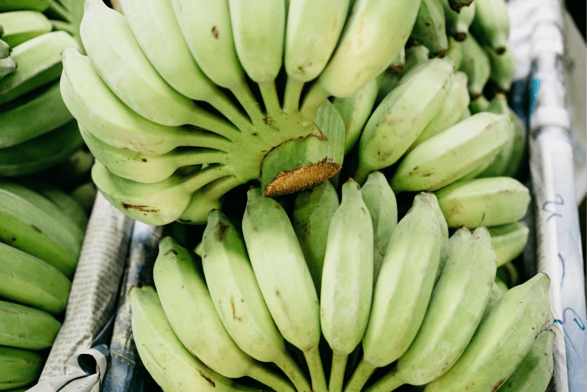 Makanan Mengandung Magnesium untuk Tubuh