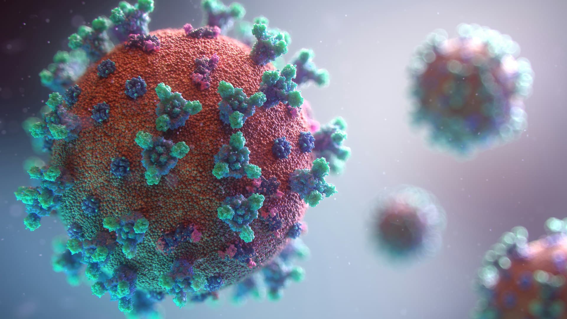 Mengenal CMV Virus: Gejala, Bahaya, dan Cara Mencegahnya