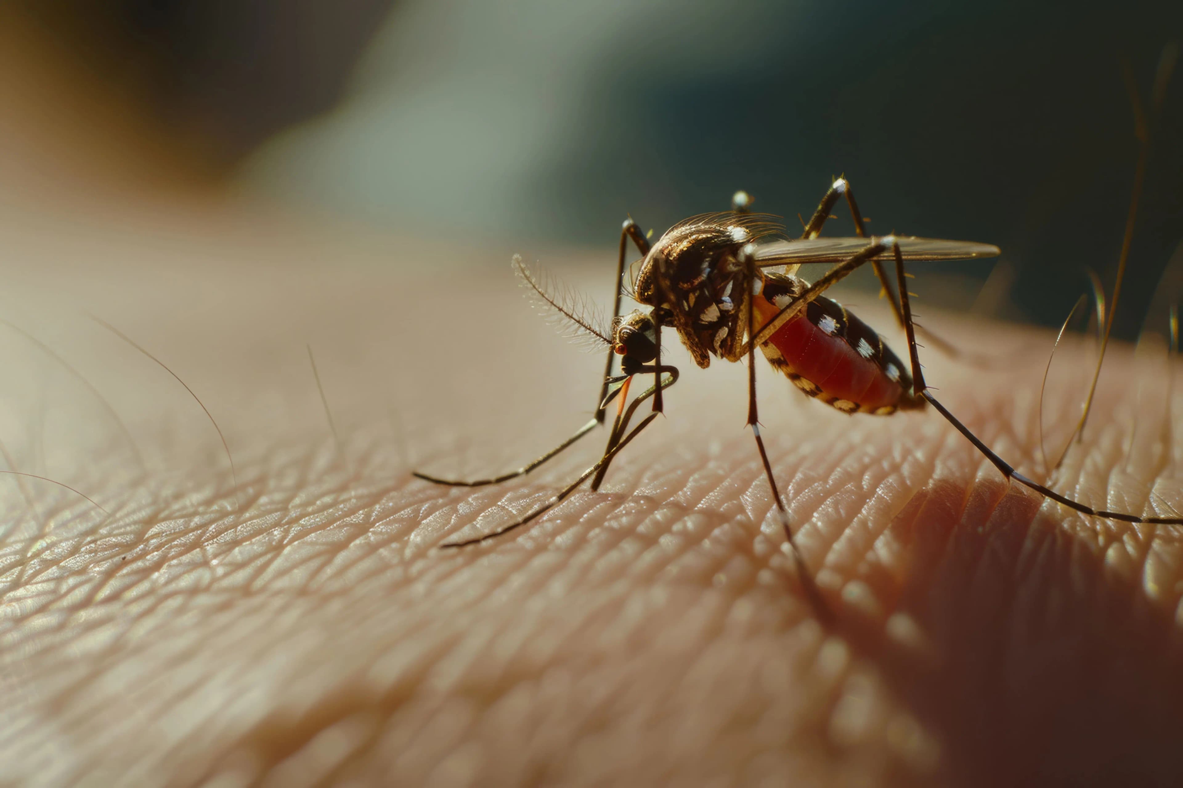 Tetap Sehat di Musim Hujan dengan Vaksinasi DBD & Influenza dari Bumame