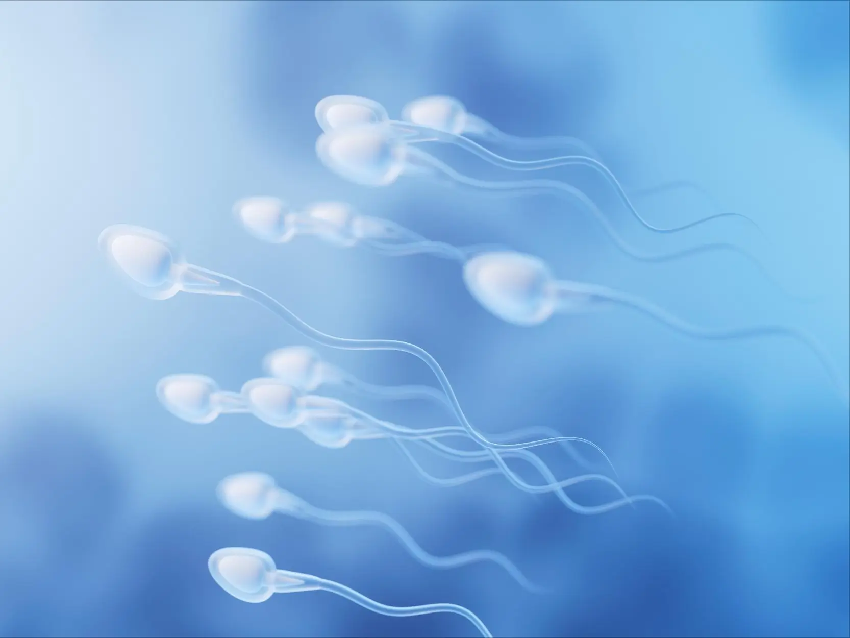 Azoospermia: Penyebab, Gejala, dan Pengobatannya