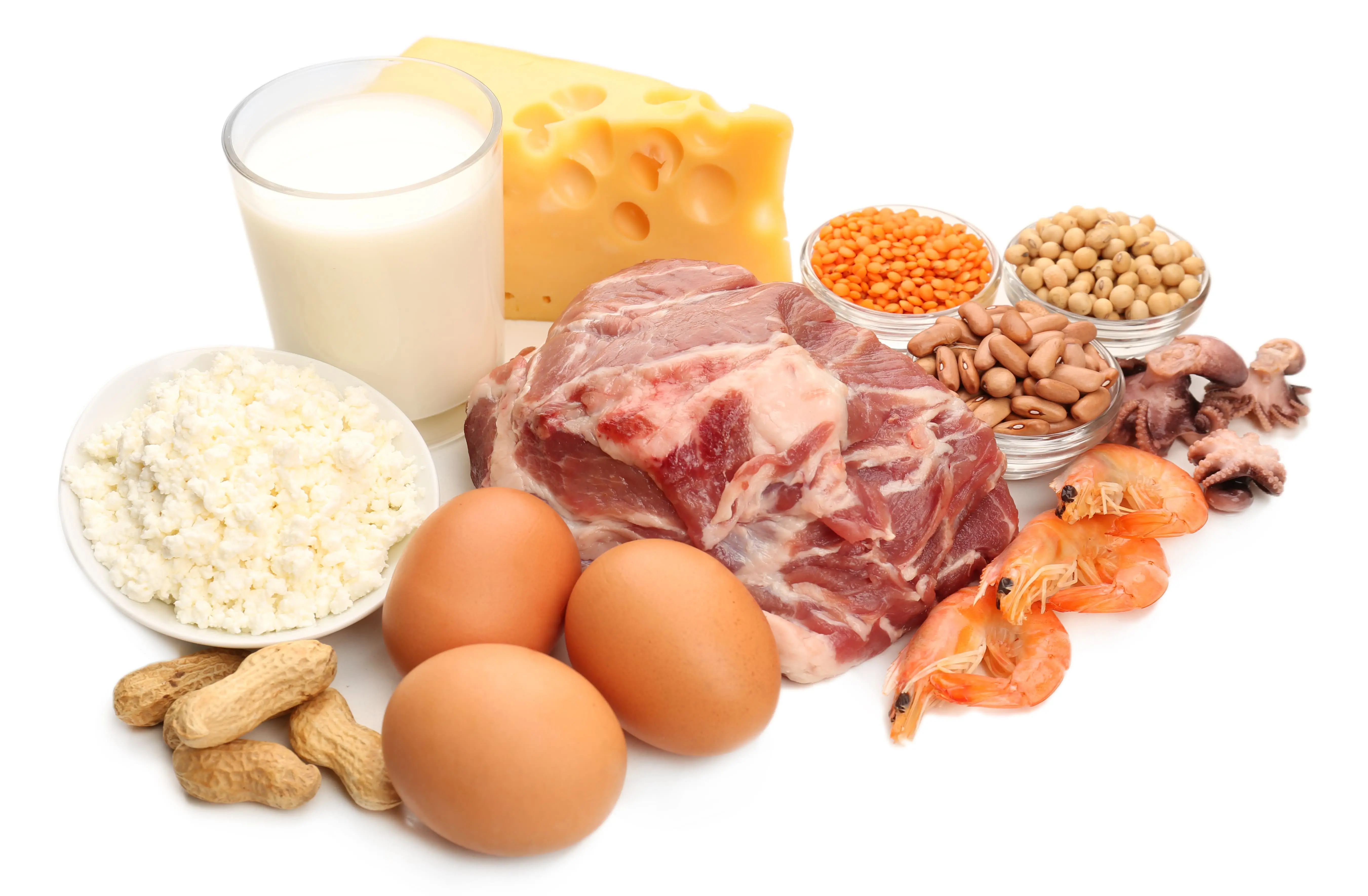 Gangguan Metabolisme Protein: Mengenal, Mencegah, dan Mengatasinya