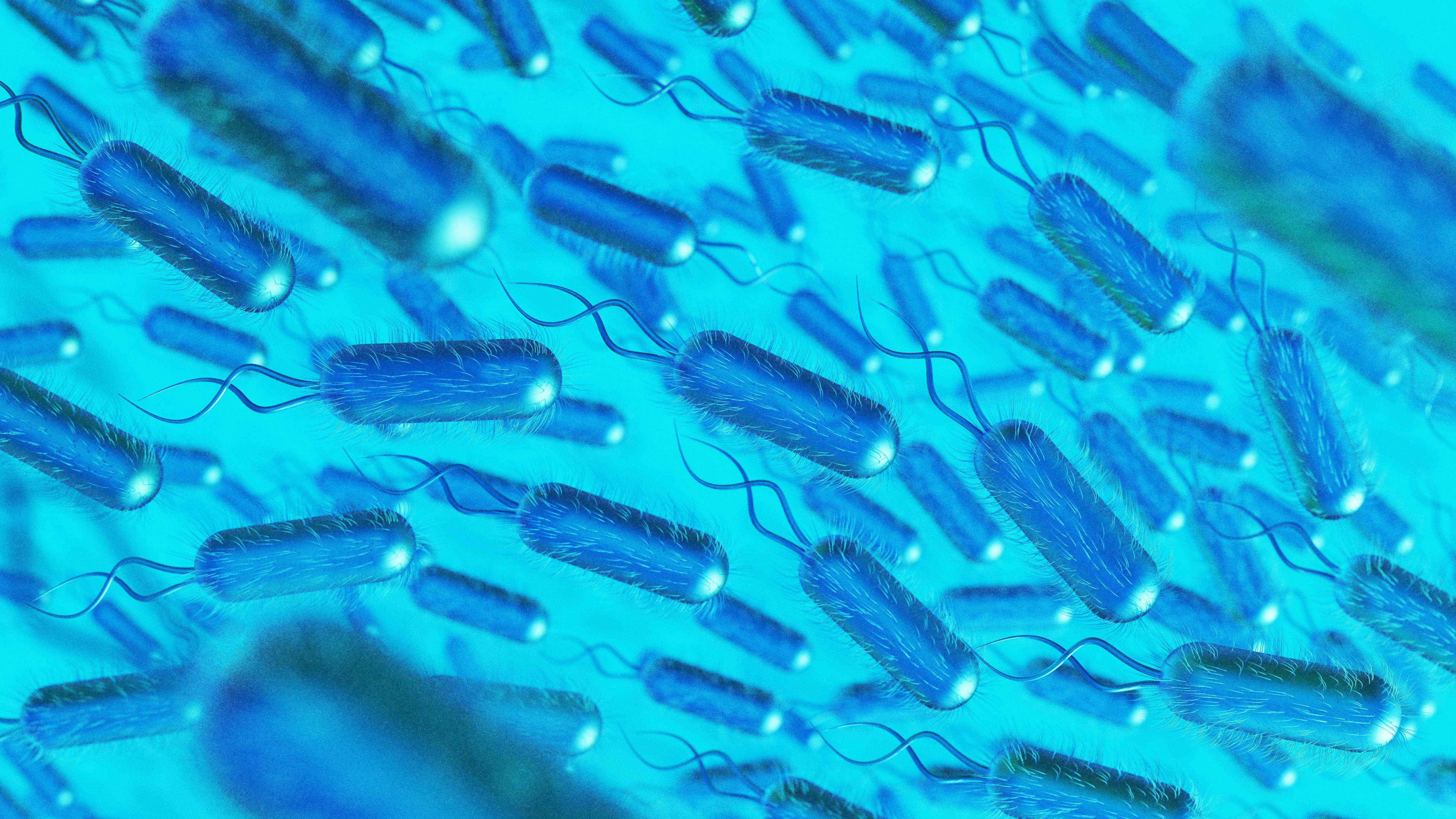 Benarkah Bakteri Helicobacter Pylori Menyebabkan Kanker Lambung?