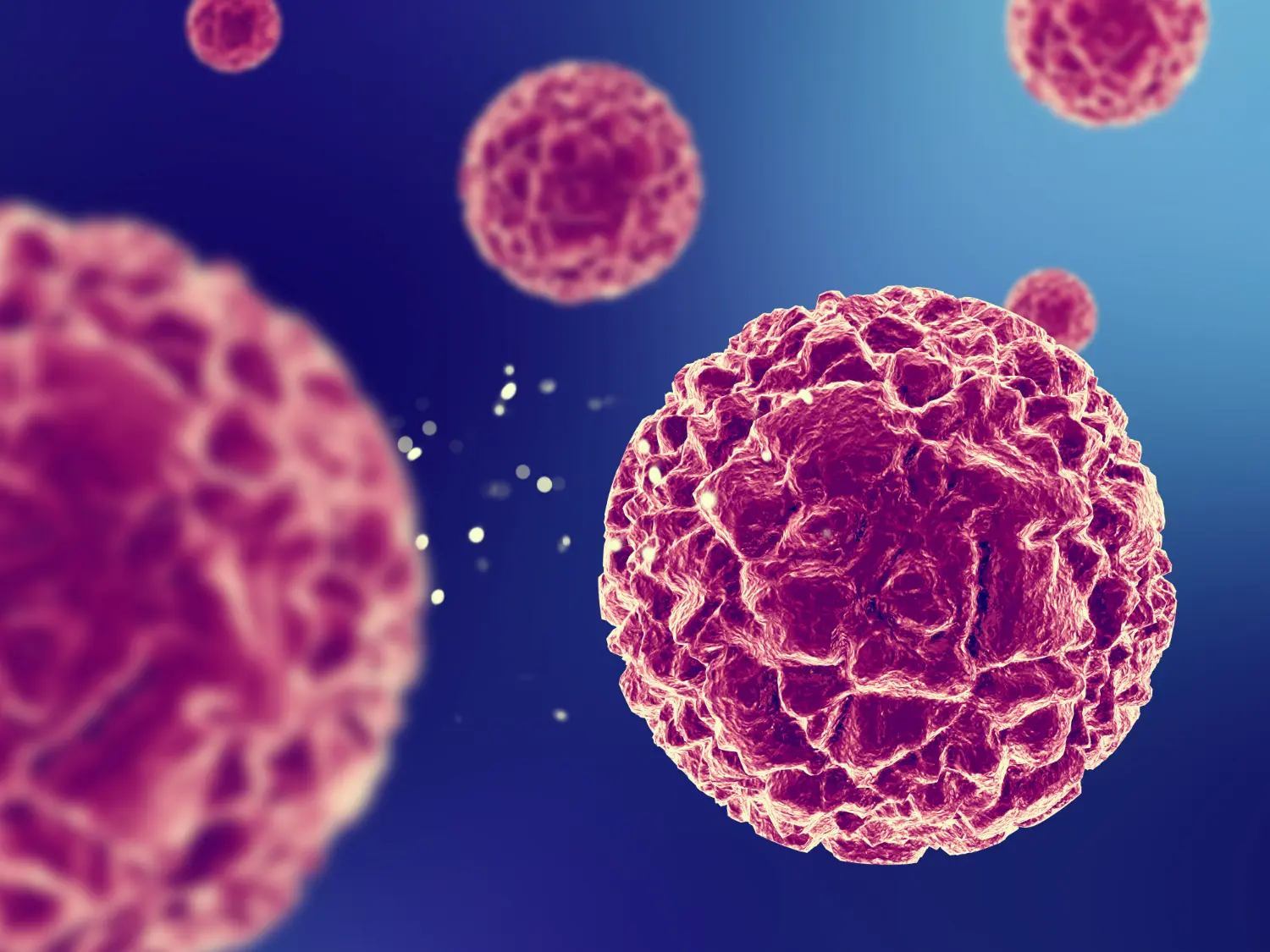 Human Papillomavirus (HPV): Pengertian, Gejala, dan Pengobatannya