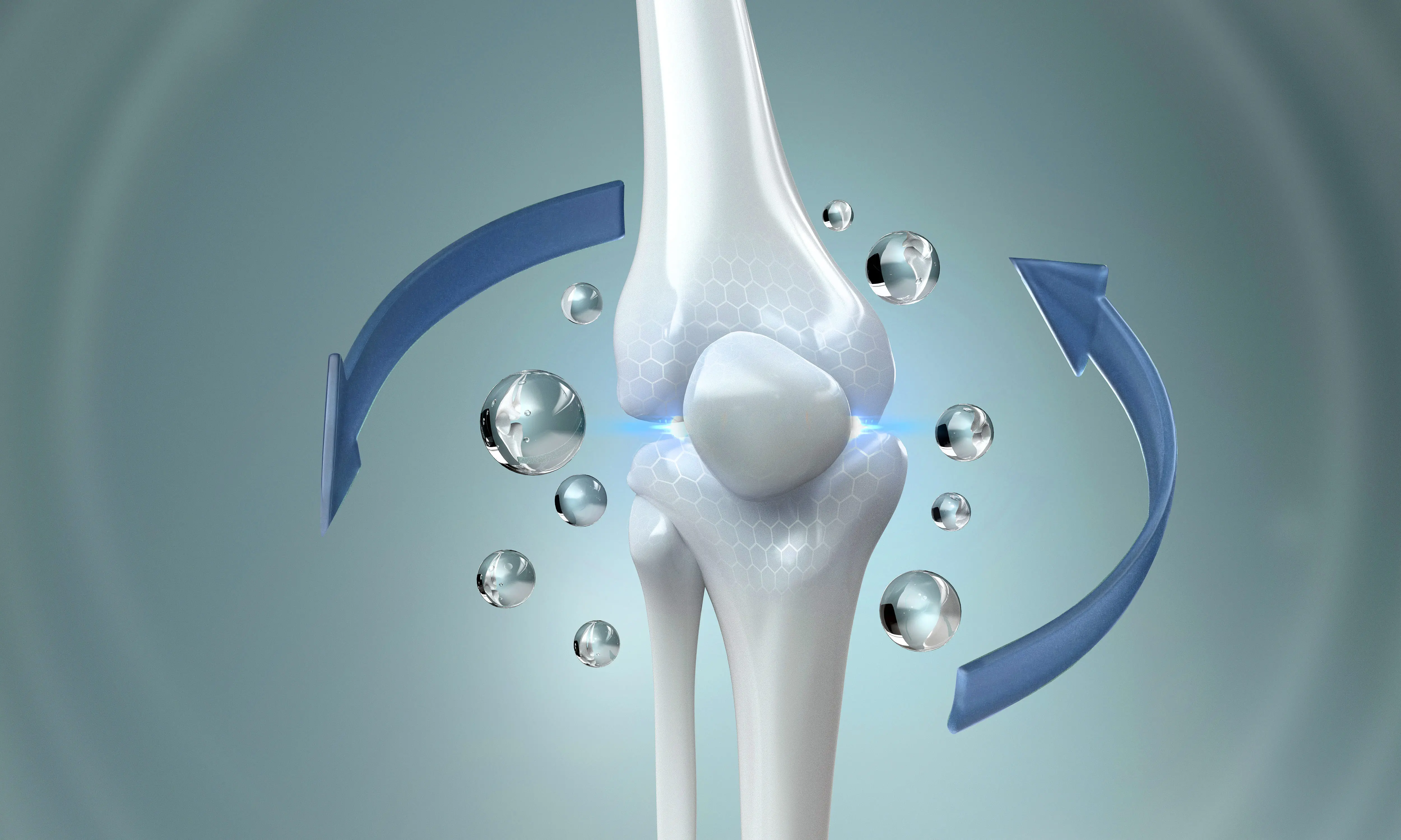 Melawan Osteoporosis: Pola Hidup Sehat untuk Tulang yang Kokoh